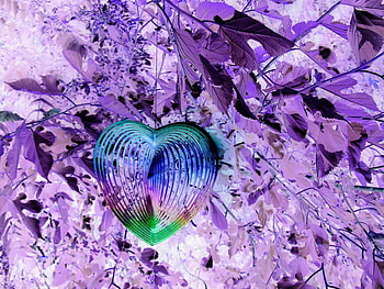 heart on my tree, purple, neon, heart, tree HD wallpaper
