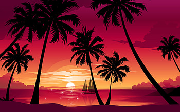 sunset palm trees sunset palm trees sunset . HD wallpaper