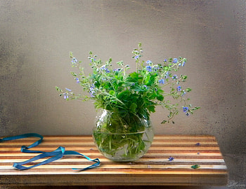 Flowers vase, Flowers, Ribbon, Board, Vase HD wallpaper