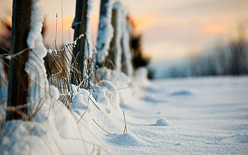 Nature, Grass, Snow, Fence, Fencing, Enclosure HD wallpaper