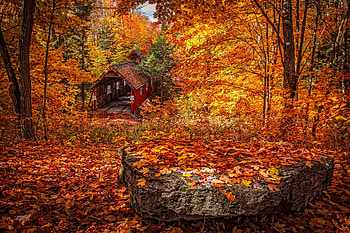 autumn covered bridge, trees, stone, autumn, covered bridge HD wallpaper