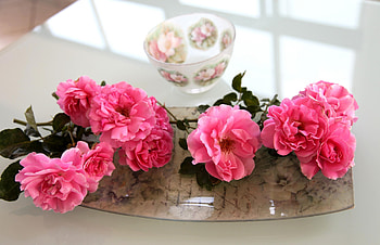 Flowers, Roses, Bowl, Tray HD wallpaper