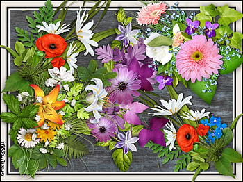 FLOWER COLLAGE, FLOWER, ART, COLLAGE, ABSTRACT HD wallpaper