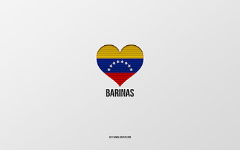 I Love Barinas, Colombian cities, Day of Barinas, gray background, Barinas, Colombia, Colombian flag heart, favorite cities, Love Barinas HD wallpaper