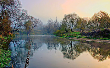 Landscape, Nature, Rivers, Trees, Shore, Fog, Morning, Shores, Awakening HD wallpaper
