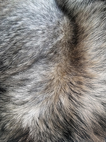 Texture, Textures, Hair, Wool HD phone wallpaper