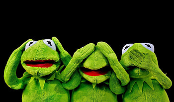 Kermit the Frog, Iconic Muppet, Beloved Character, Green Amphibian HD wallpaper