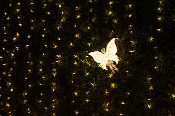 Holidays, Dark, Shine, Light, Backlight, Illumination, Garland, Decoration, Angel, Garlands HD wallpaper