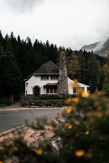 Nature, Trees, Building, Forest, House HD phone wallpaper