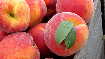 Fruits, Food, Leaves, Peaches HD wallpaper