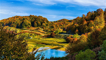 Autumn landscape, landscape, autumn, trees, lake HD wallpaper