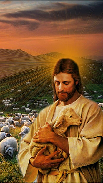 Jesus, Jesus With Lamb, Sheep Background HD phone wallpaper