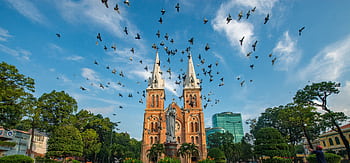 Flock of birds flying over Notre-Dame Cathedral Basilica Saigon in vibrant daylight. HD wallpaper
