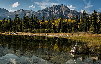 Nature, Trees, Mountains, Lake, Reflection, Canada, Albert, Alberta HD wallpaper