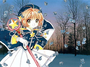 Sakura, sakura kinomoto, card captor sakura, card captors, ccs HD wallpaper