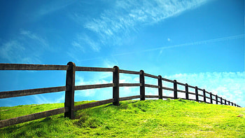 Grassland And Fence Nature Scenery Background and . HD wallpaper