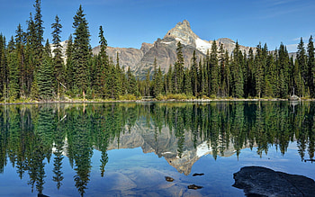 Nature, Trees, Sky, Mountains, Summer, Reflection HD wallpaper
