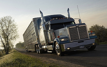 Transport, Auto, Trucks HD wallpaper