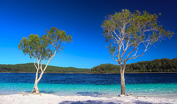 Discover Hervey Bay, Fraser Island, Travels, Australia HD wallpaper