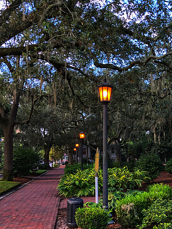 Savannah, Georgia, Family travel, Things to do HD phone wallpaper