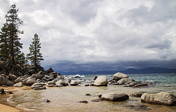 Nature, Stones, Sea, Sand, Coast, Spruce, Fir HD wallpaper