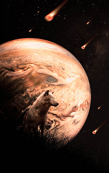 Animals, Universe, Wolf, Planet, Meteora, Meteors HD phone wallpaper