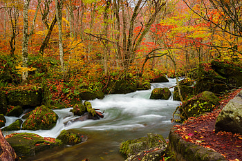 Nature, Rivers, Trees, Autumn, Leaves, Flow, Stream HD wallpaper