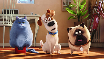 The Secret Life of Pets (2022) movie HD wallpaper