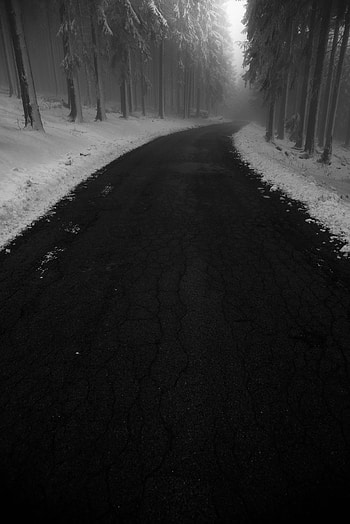 Nature, Trees, Snow, Road, Turn, Fog HD phone wallpaper