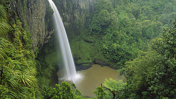 bridal veil waterfalls new zealand, trees, waterfalls, pool, cliff HD wallpaper