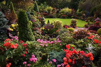September Evening Sun, japanese, september, garden, sun, evening, home HD wallpaper