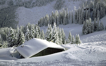 *** Beautiful Winter In The Mountains ***, winter, nature, mountains, snow HD wallpaper