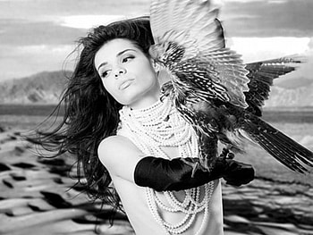 beauty and the bird, elegant, cool HD wallpaper