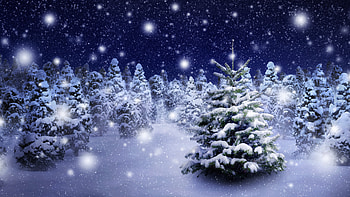 Winter forest, Snow flakes, Christmas, Forest, Trees, Snow HD wallpaper