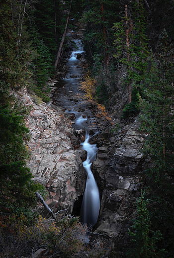 Nature, Rivers, Trees, Rocks, Creek, Brook HD phone wallpaper