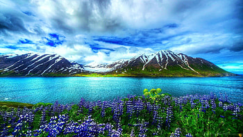 Lake in Summer, wildflowers, clouds, sky, water, mountains, reflections HD wallpaper