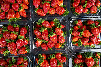 Food, Strawberry, Berries, Ripe, Juicy HD wallpaper