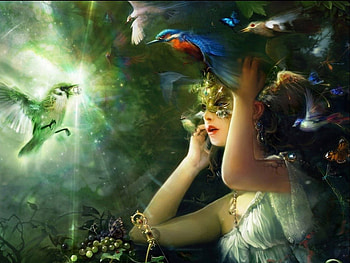 magic birds, magic, birds HD wallpaper