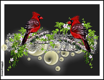 BIRDS AND LACE, BIRDS, ART, LACE, ABSTRACT HD wallpaper