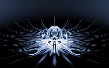 Abstract, Dark, Circles, Lines, Form HD wallpaper