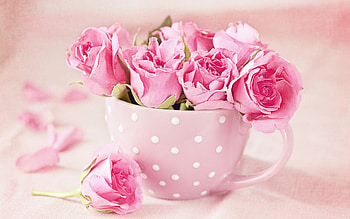 For you!, valentine, rose, pink, white, day, flower, mother, cup HD wallpaper