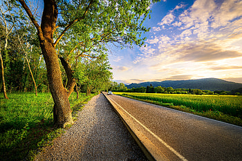 Sunlit Country Road - Landscape, landscape, road HD wallpaper