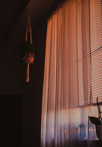 Interior, Flower, Dark, Miscellanea, Miscellaneous, Window, Room, Curtain HD phone wallpaper