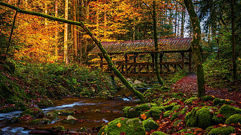 Fall Season at Southern Germany, fall, leaves, bridge, trees, colors, stones, stream HD wallpaper
