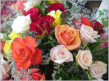 Plants, Holidays, Flowers, Roses, March 8, International Women's Day (Iwd) HD wallpaper
