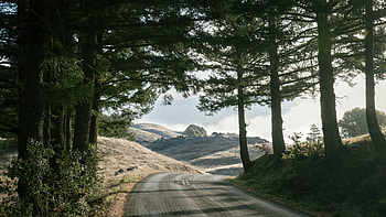 Rock Spring Trailhead, road, trees, mountains, nature HD wallpaper