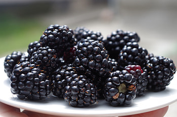 Blackberries, blackberry, delicious, fruit, fruits, berry, food HD wallpaper