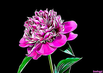 PINK FLOWER, ART, FRACTAL, ABSTRACT HD wallpaper