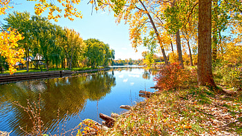 Autumn trees, Riverside walk, nature HD wallpaper
