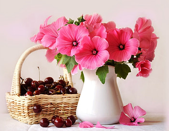 FLOWERS, VASE, PETALS, COLORS, CHERRIES HD wallpaper